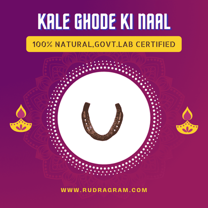 Black Horse Shoe from RudraGram, 100% natural and government lab certified for authenticity