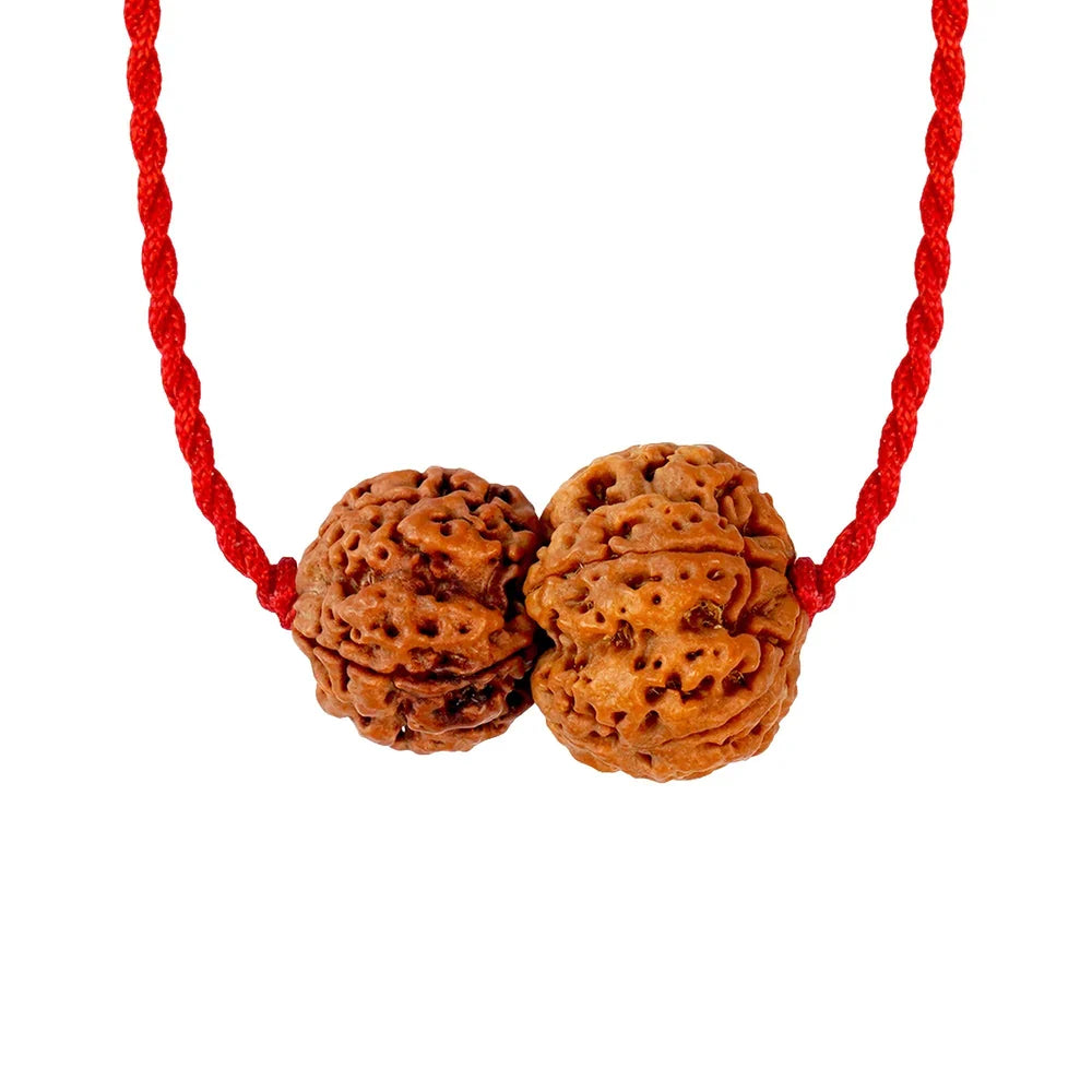 Budh-Guru Buddhi Vriddhi Kavach – 4 & 5 Mukhi Rudraksha