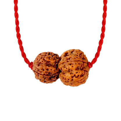 Budh-Guru Buddhi Vriddhi Kavach – 4 & 5 Mukhi Rudraksha