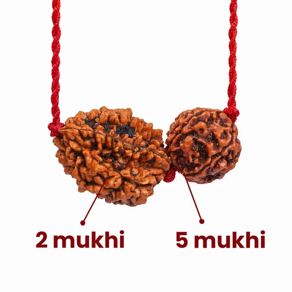 Cancer Zodiac (Kark Rashi) Rudraksha Kavach