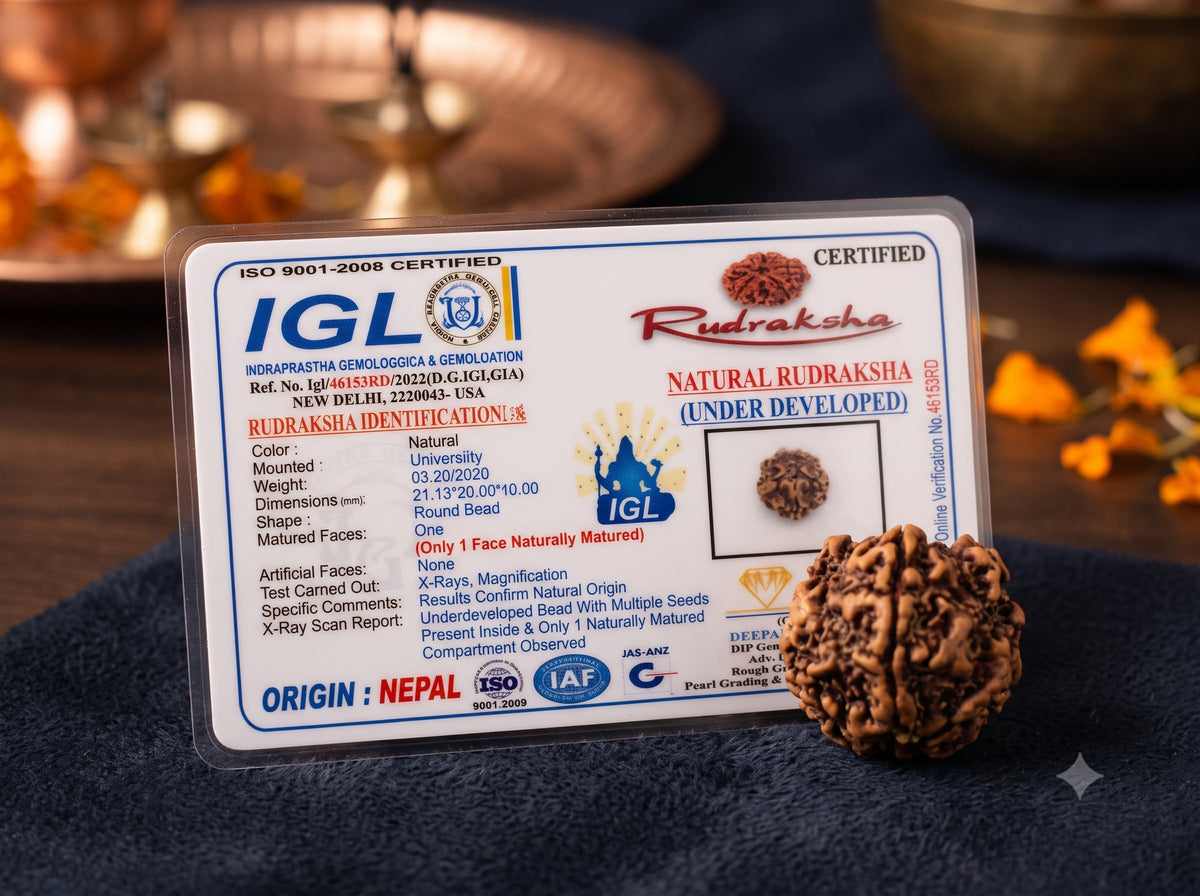 Nepal Origin 1 Mukhi Rudraksha – 100% Natural & Certified