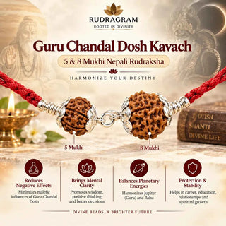 Guru Chandal Dosh Kavach – 5 & 8 Mukhi Nepali Rudraksha