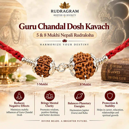 Guru Chandal Dosh Kavach – 5 & 8 Mukhi Nepali Rudraksha