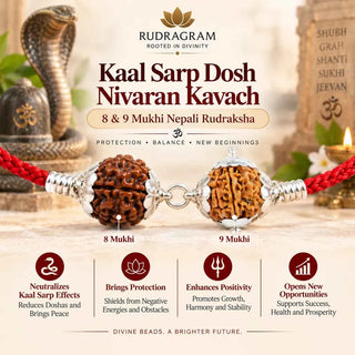 Kaal Sarp Dosh Nivaran Kavach – 8 & 9 Mukhi Nepali Rudraksha