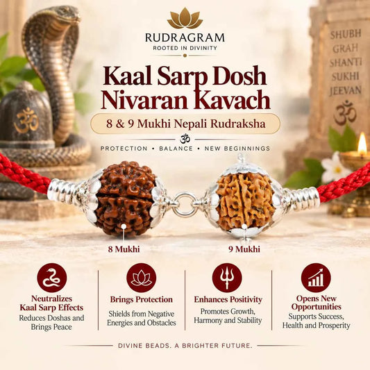 Kaal Sarp Dosh Nivaran Kavach – 8 & 9 Mukhi Nepali Rudraksha
