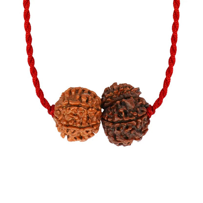 Mangal-Shani Karma Shakti Kavach – 1 & 7 Mukhi Rudraksha