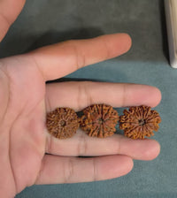 Rudraksha Combination For Career, Business & Success