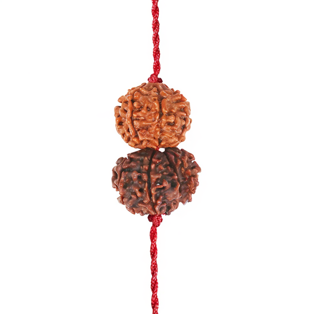 Mangal-Shani Karma Shakti Kavach – 1 & 7 Mukhi Rudraksha
