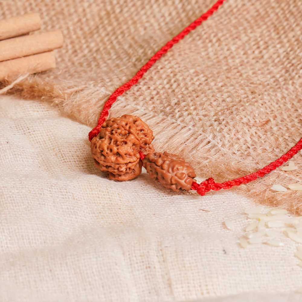 Gajkesari Yog Kavach – 2 & 5 Mukhi Rudraksha