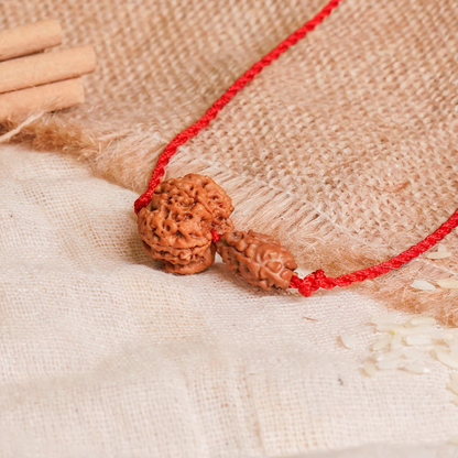 Gajkesari Yog Kavach – 2 & 5 Mukhi Rudraksha