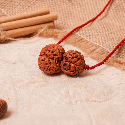Budh-Guru Buddhi Vriddhi Kavach – 4 & 5 Mukhi Rudraksha