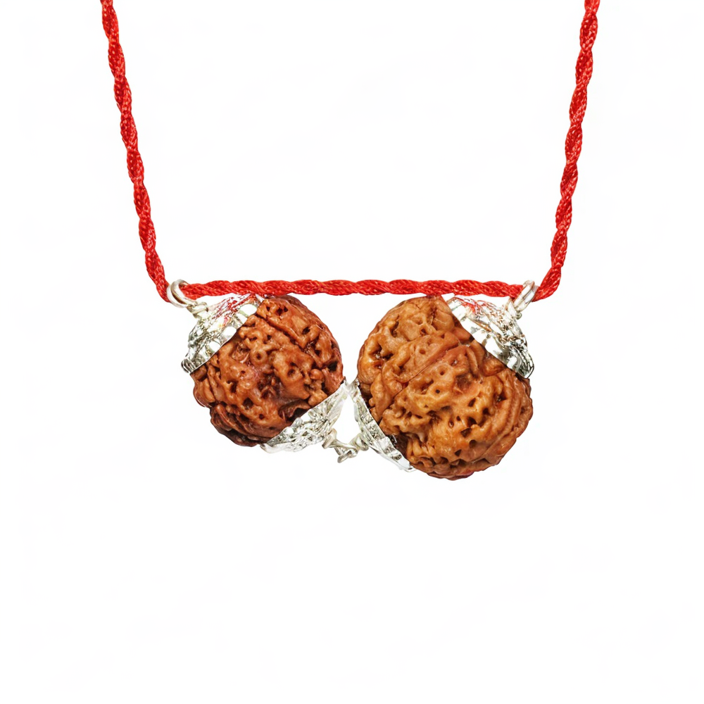 Budh-Guru Buddhi Vriddhi Kavach – 4 & 5 Mukhi Rudraksha
