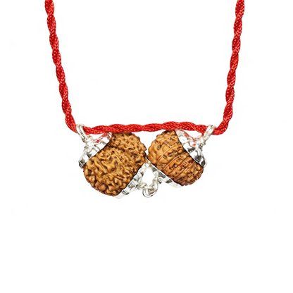 Shukra-Shani Vyapar Rajyog Kavach – 13 & 14 Mukhi Rudraksha