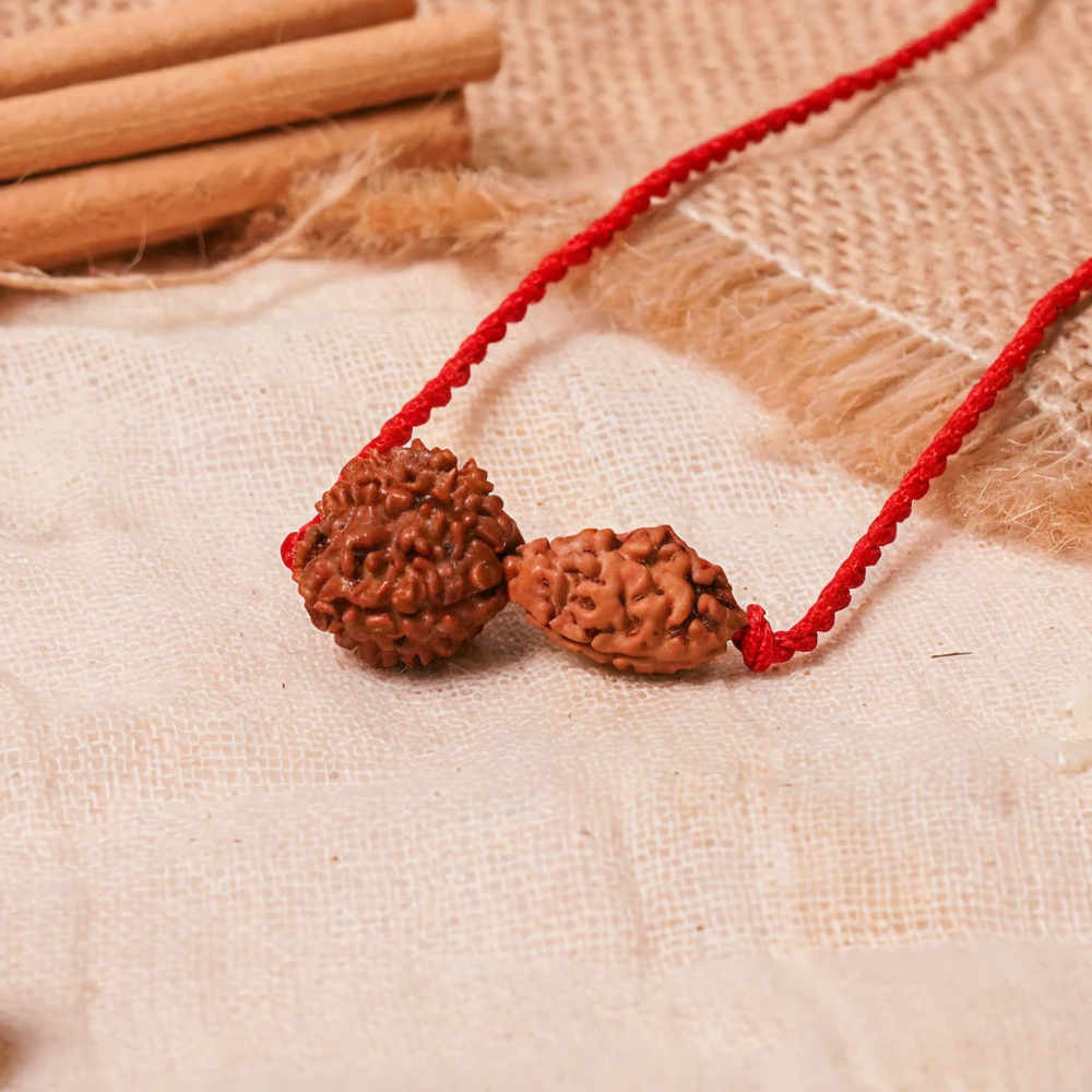Chandra-Rahu Grahan Dosh Kavach – 2 & 8 Mukhi Rudraksha
