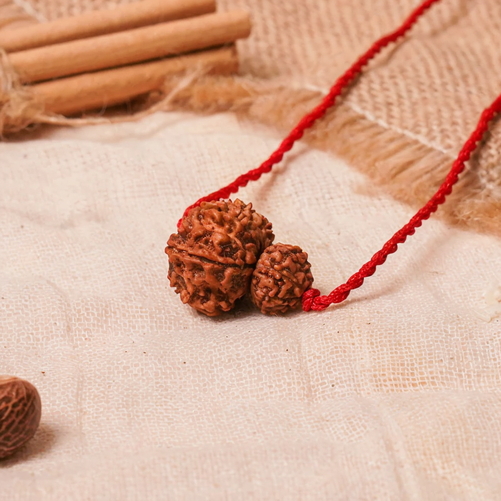 Surya-Rahu Grahan Dosh Kavach – 8 & 12 Mukhi Rudraksha