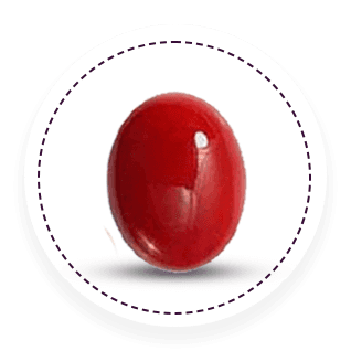 RudraGram Buy Red Coral Gemstone - 100% Natural & Certified