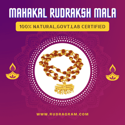 Rudraksh Gold plated Mahakal Mala with a 100% natural and government lab certified design