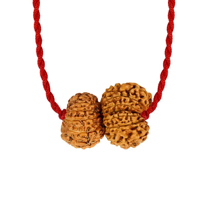 Shukra-Shani Vyapar Rajyog Kavach – 13 & 14 Mukhi Rudraksha