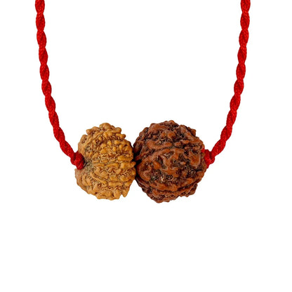 Shukra-Surya Prem Kavach – 6 & 12 Mukhi Rudraksha
