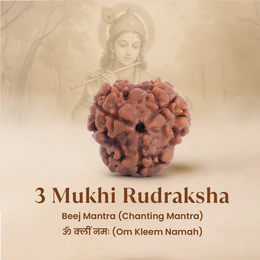 Three- faced Rudraksha with a blurred background of a person holding a weapon.