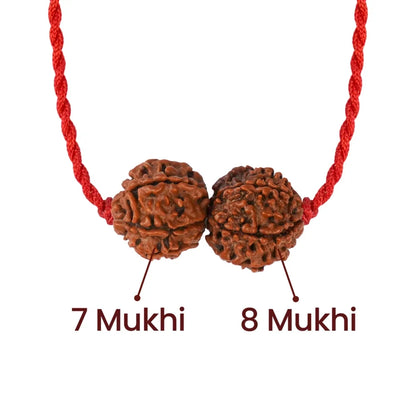 Shani-Rahu Kavach – 7 & 8 Mukhi Nepali Rudraksha