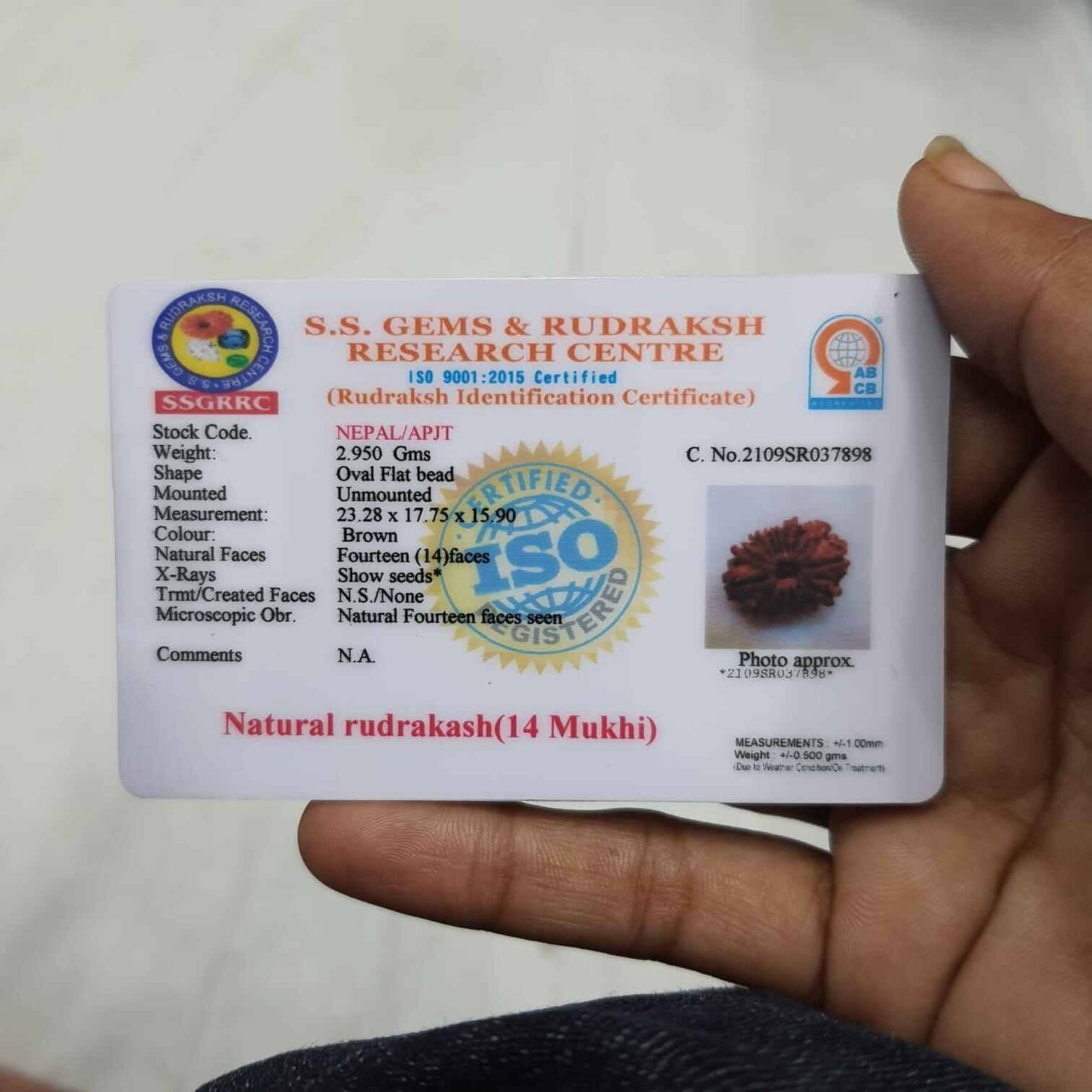 Certification card for 14 Mukhi Rudraksha with identification details and authenticity for buyers to buy original 14 Mukhi Rudraksha